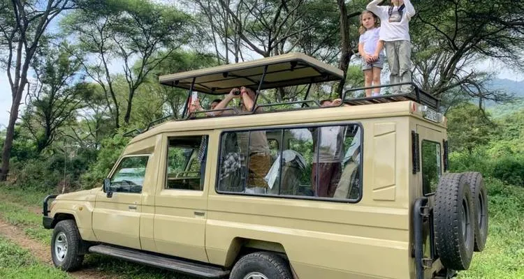 Group joining 4×4 vehicle on game drive in Serengeti National Park