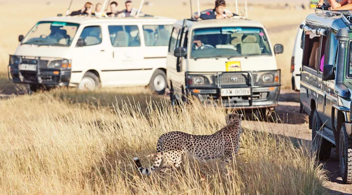 5 Days Group Joining Northern Circuit Safari