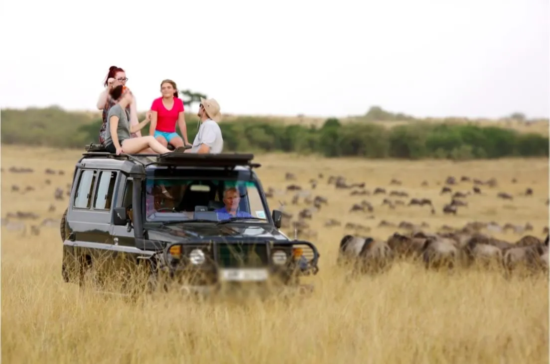 Private 4×4 vehicle on Serengeti plains during 6 Days Northern Circuit Safari