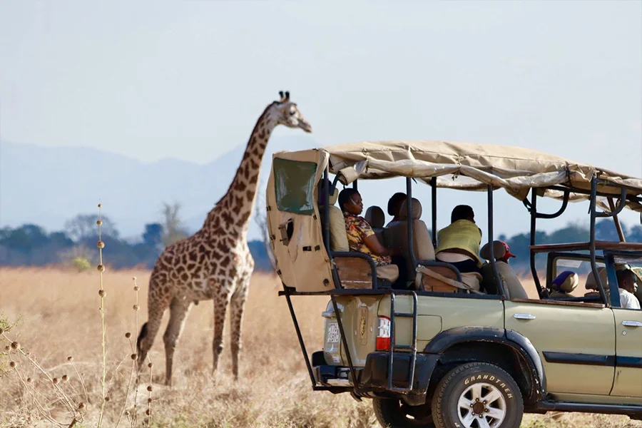 4 Days Group Joining Serengeti Safari Tanzania