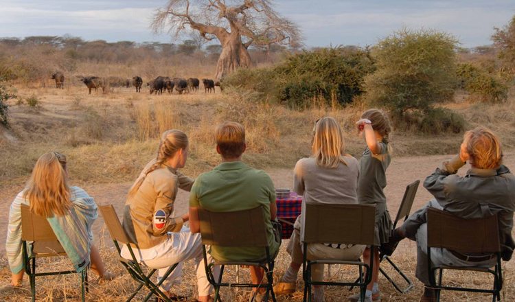 7 Days Luxury Northern Circuit Safari Tanzania