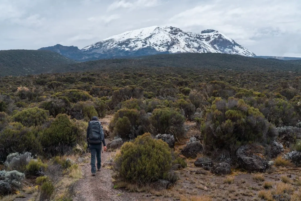 Shira Plateau views during 8 Days Lemosho Route Climb